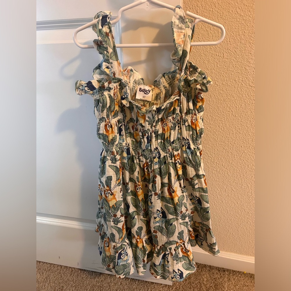 Bluey 5T dress